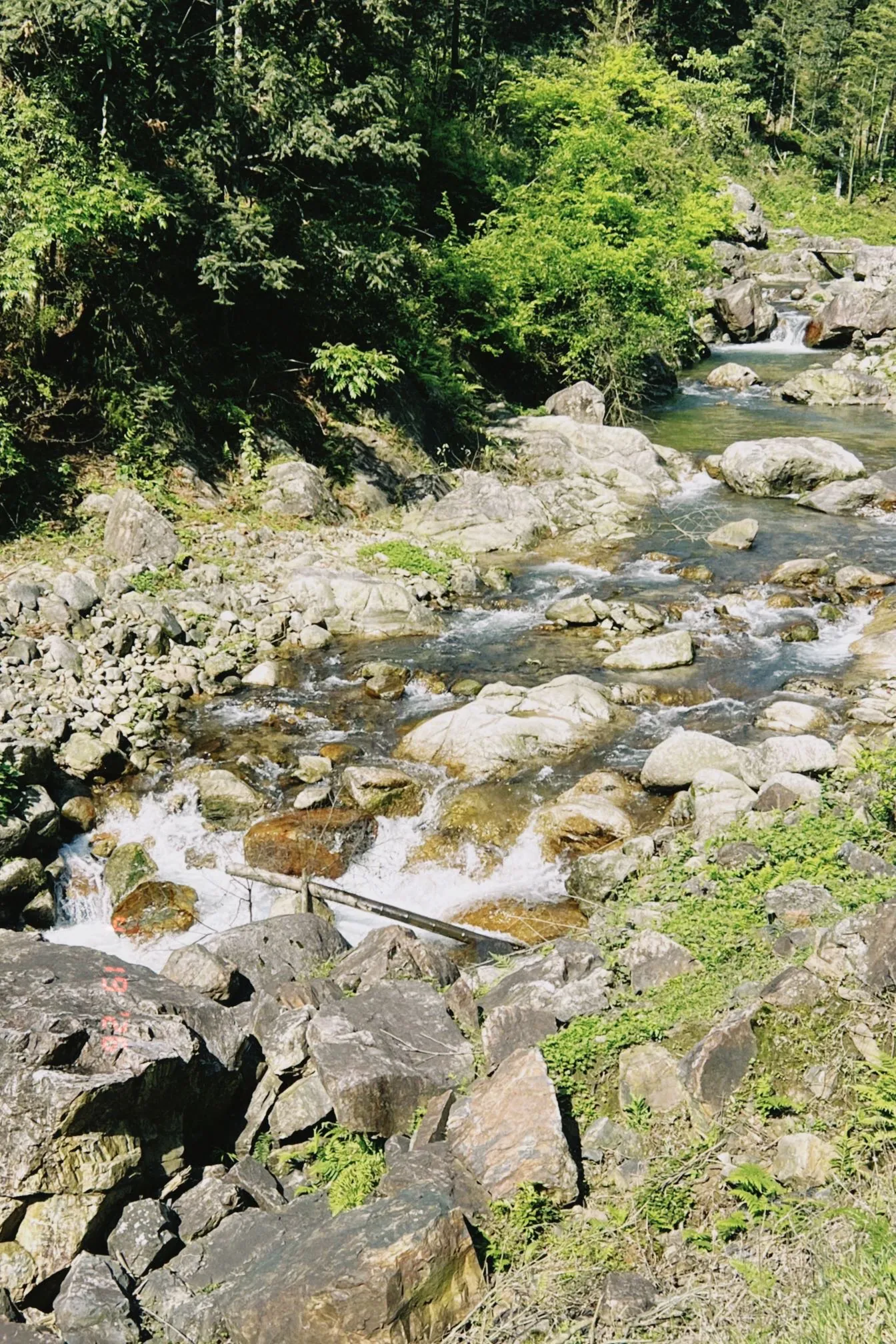 抱财丘徒步沿线环境实拍 4